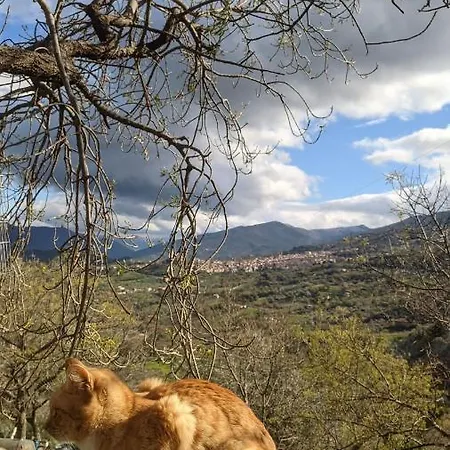 In Casa Castiglia A Woodhouse With Beautiful View Close Madonie Park