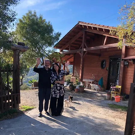 In Casa Castiglia A Woodhouse With Beautiful View Close Madonie Park Guest house